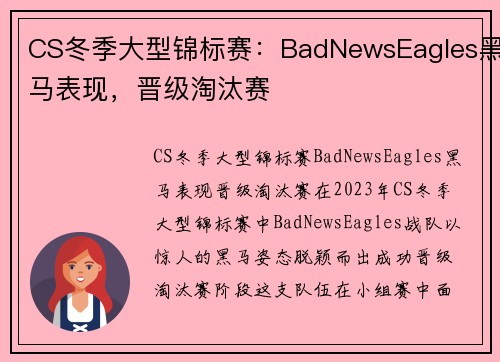 CS冬季大型锦标赛：BadNewsEagles黑马表现，晋级淘汰赛