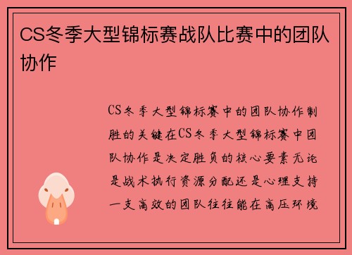 CS冬季大型锦标赛战队比赛中的团队协作