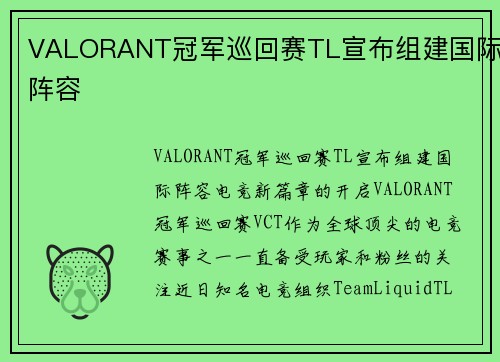 VALORANT冠军巡回赛TL宣布组建国际阵容